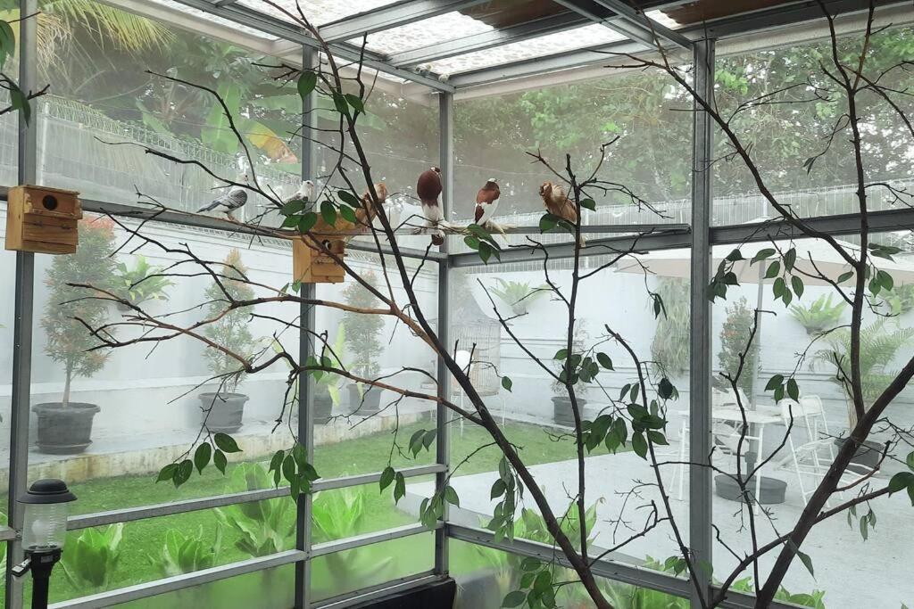 Garden Villa By Villapedia Bogor Exteriör bild